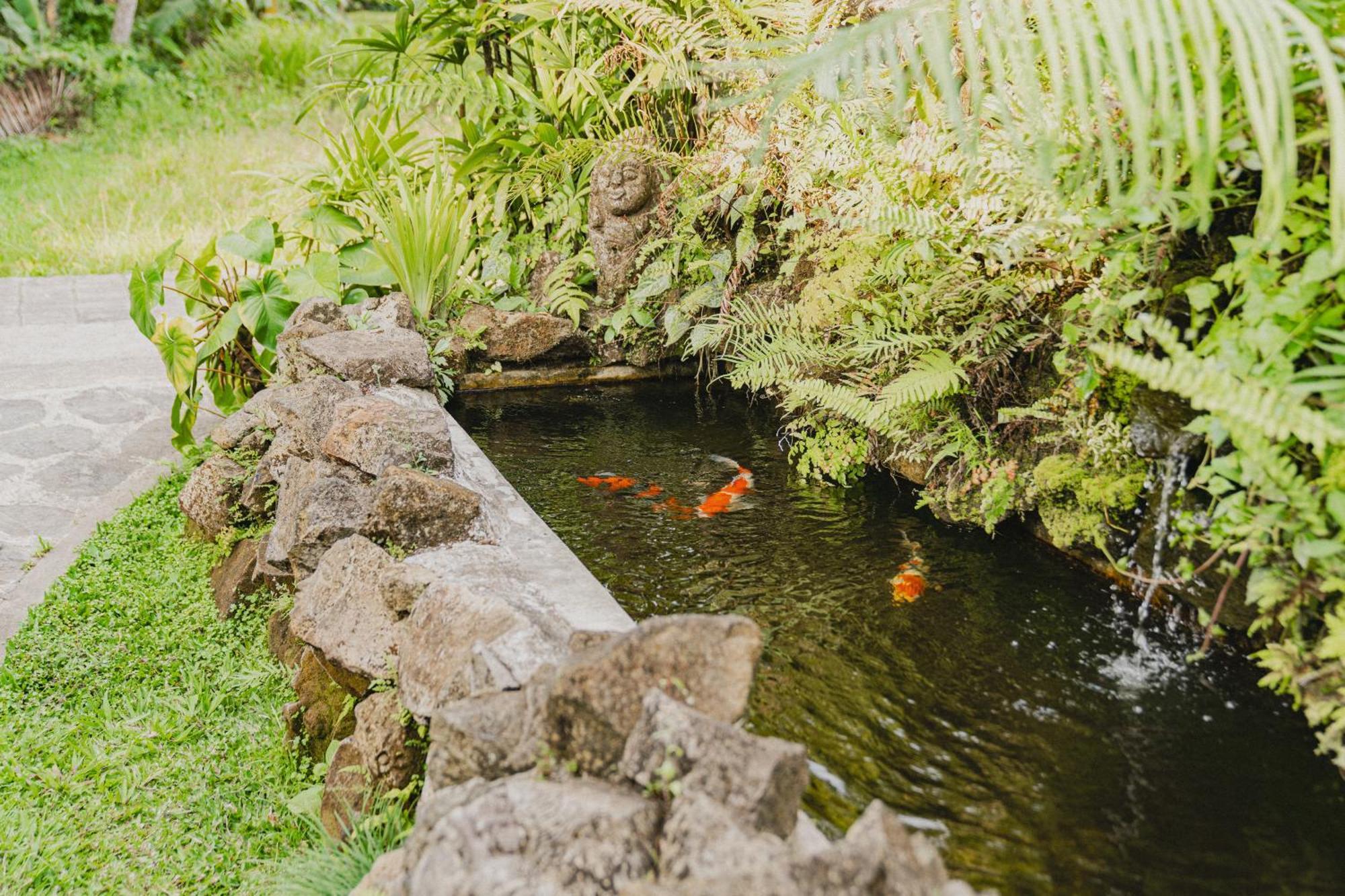 Sweet Orange Pondok อูบุด ภายนอก รูปภาพ